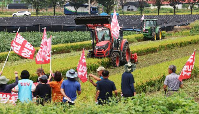 지난해 9월 경기 안성시 미양면 한 논에서 전국농민총연맹 경기도연맹 관계자와 농민들이 쌀값 보장 등을 요구하며 논을 갈아엎고 있다. 연합뉴스