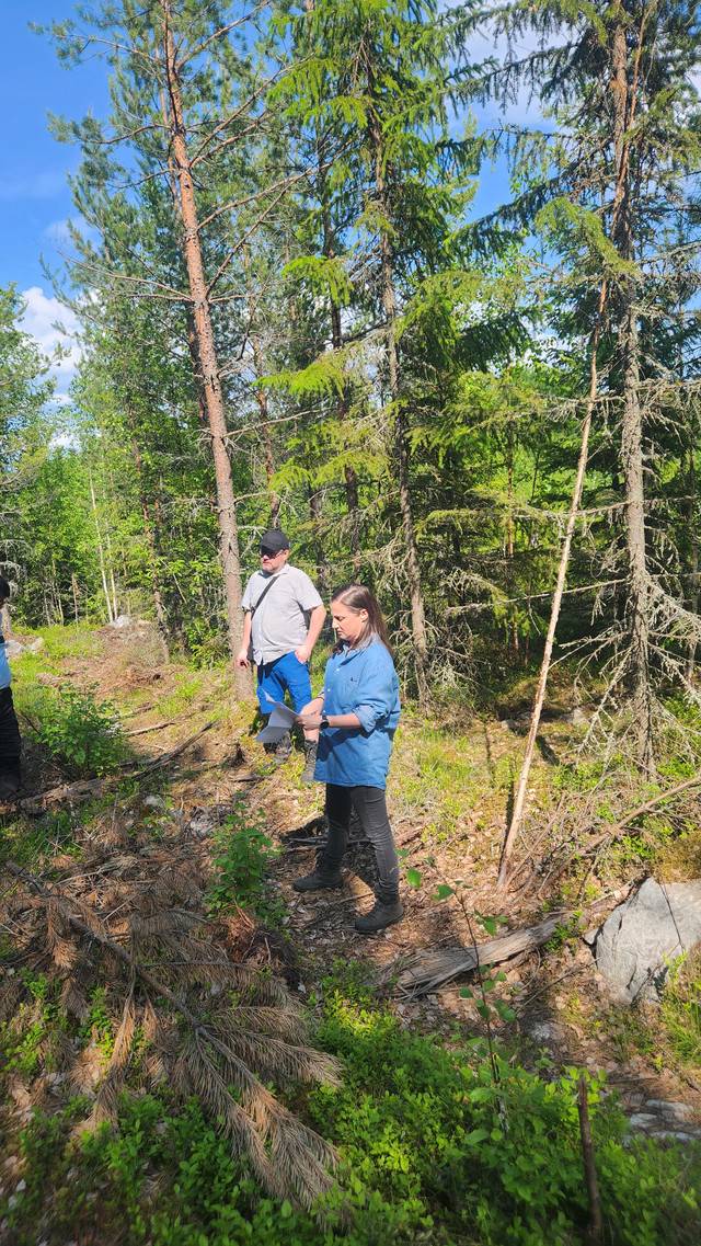 ▲ 7대 여성임업인 레타 레흐티넨(Reeta Lehtinen)씨의 산에 임도가 나 있는 가운데 산주가 취재진에게 소유산의 면적과 임도의 기능 등을 설명하고 있다.