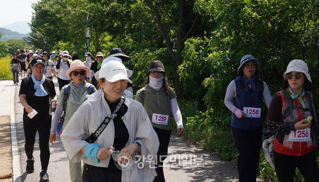 ▲ 걸어서 철원속으로, 느티나무 30리길 걷기 대행진이 9일 철원군 화강변에서 열려 참가자들이 느티나무길을 걷고 있다. 이재용 기자