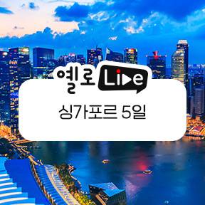 노랑풍선 제공