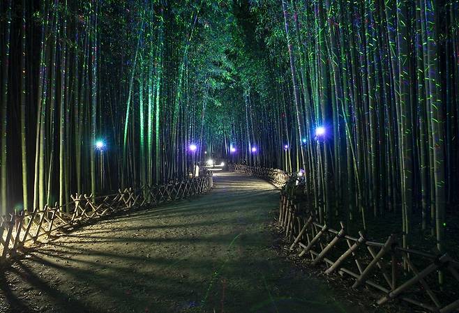 울산 태화강 십리대숲