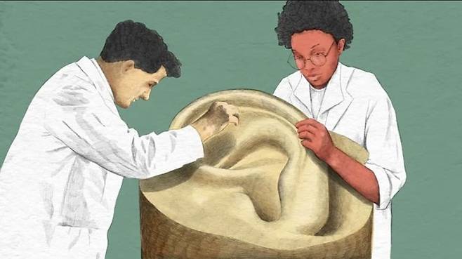 [서울=뉴시스] (사진=뉴시스 DB)  *재판매 및 DB 금지