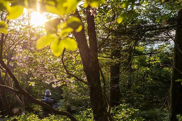 장터목대피소 가는 중.&nbsp;철쭉이 그대로 피어 있었다.