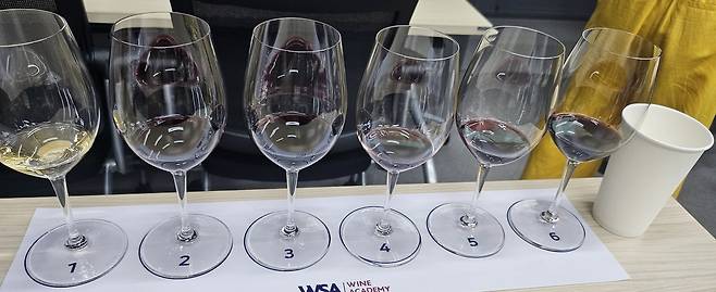 이날 시음회에 선보인 와인은 총 6종이다. 4종은 아메리칸 오크 숙성, 2종은 프렌치 오크 배럴에서 숙성했다. 박윤희 기자