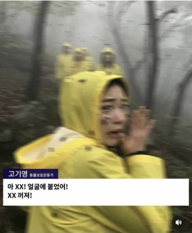 한 환경운동가가 “러브버그들이 학살당하고 있다”면서 울부짖는 영상이 소셜미디어(SNS)에 확산되고 있다. 네티즌들 사이에서 환경단체를 비판하기 위해 공유되고 있는 이 영상은 한 패러디 계정이 인공지능(AI)으로 생성한 가짜 영상이다. 자료 : AFP 팩트체크