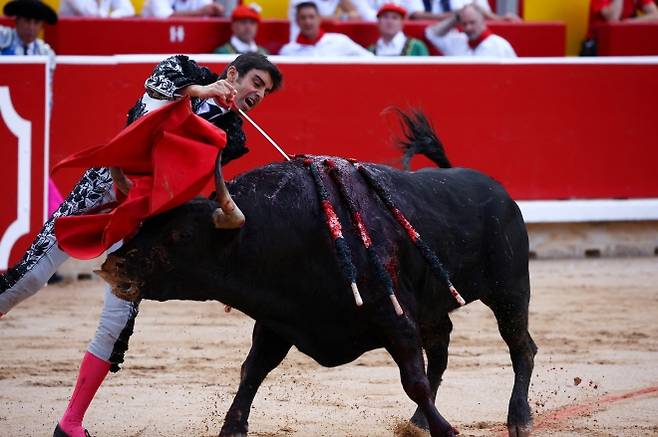 스페인 투우사 미구엘 앙헬 페레라가 7일(현지시간) 스페인 북부 팜플로나에서 열린 산 페르민 축제의 투우 경기에서 황소의 등에 칼로 꽂고 있다. 2025.7.7 로이터 연합뉴스
