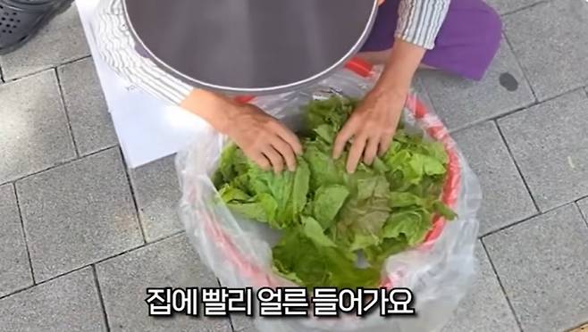 폭염 속 길거리에 앉아 상추를 팔고 있는 할머니에게 선행을 베푼 유튜버의 영상이 화제다. 유튜브 채널 ‘오동지 ohdongji’ 캡처