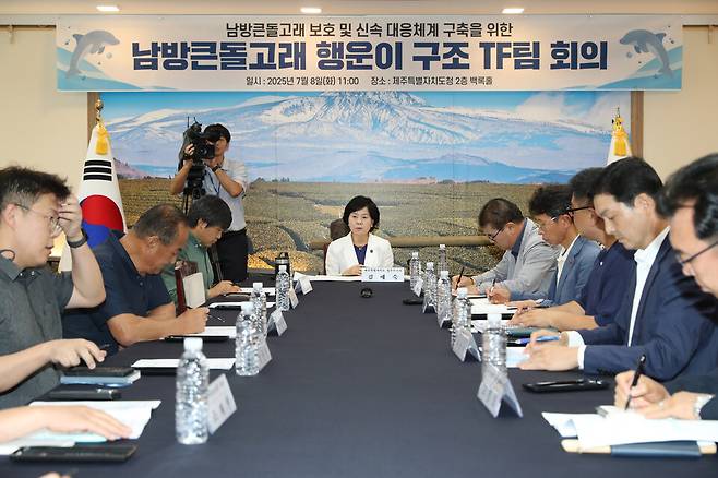남방큰돌고래 '행운이'의 구조와 보호를 위한 전문가 전담팀 회의가 지난 8일 제주도청 백록홀에서 열리고 있다. ⓒ제주도 제공
