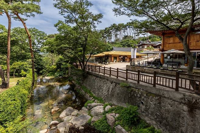 여름의 짙은 녹음이 인상적인 진관사 계곡.  진관사는 깊은 역사와 자연 속 정갈한 분위기, 그리고 전통문화를 모두 품은 서울의 대표 산사다                   사진제공｜서울관광재단