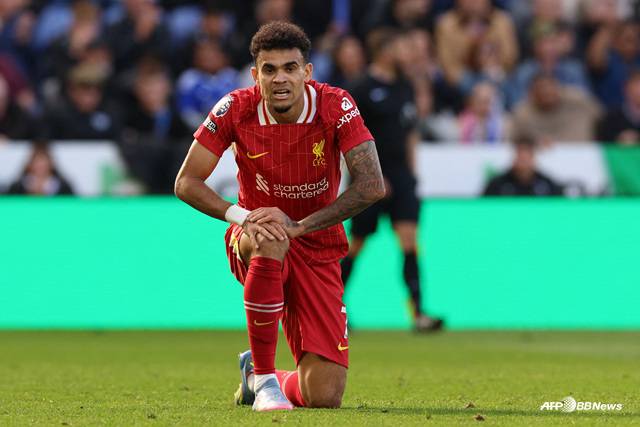 루이스 디아스. /AFPBBNews=뉴스1