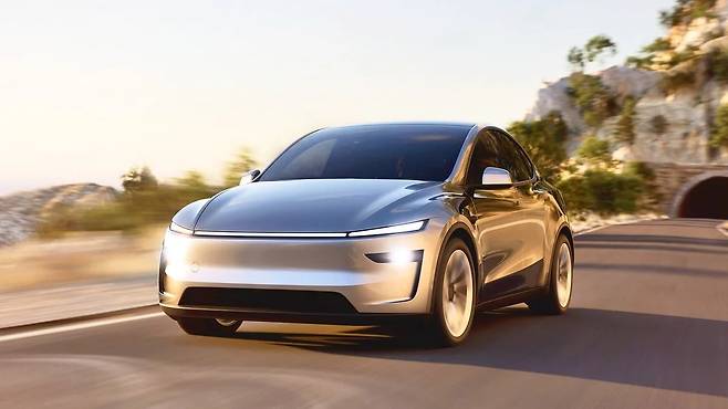 테슬라 모델 Y