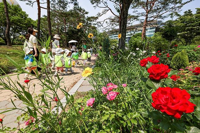 소풍 나온 어린이집 아이들 [사진/임헌정 기자]