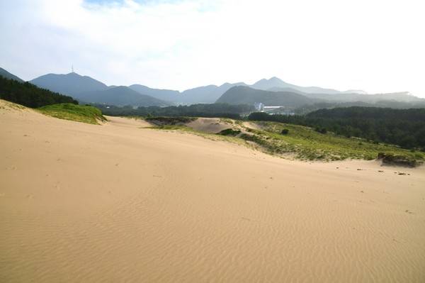 대청도 옥죽동 사구