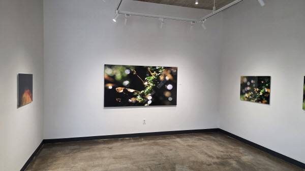 JI갤러리 1층 내부 사진 . 김산호 기자.