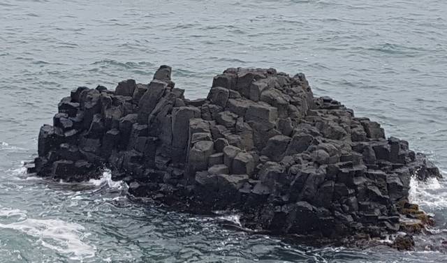 경주 양남면 주상절리군.