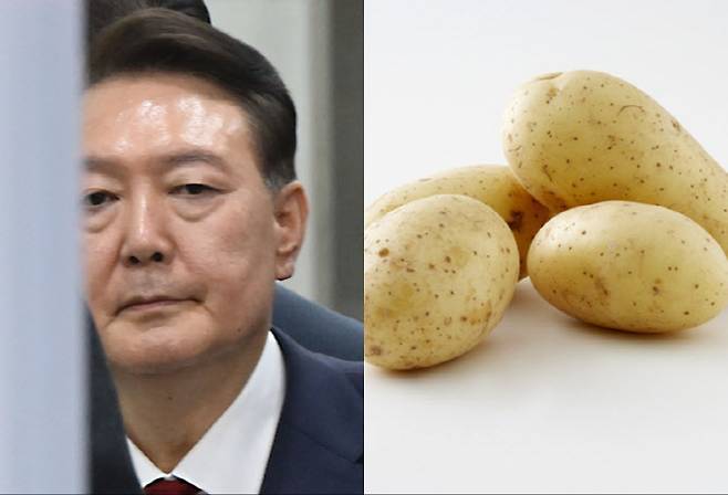 (사진=연합뉴스/게티이미지)