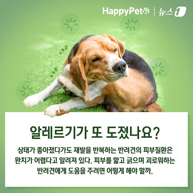 ⓒ News1 김초희 디자이너