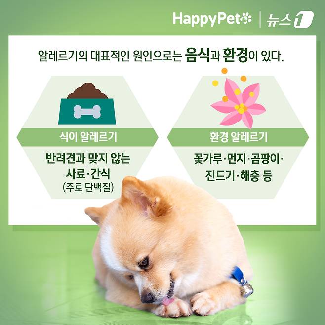 ⓒ News1 김초희 디자이너