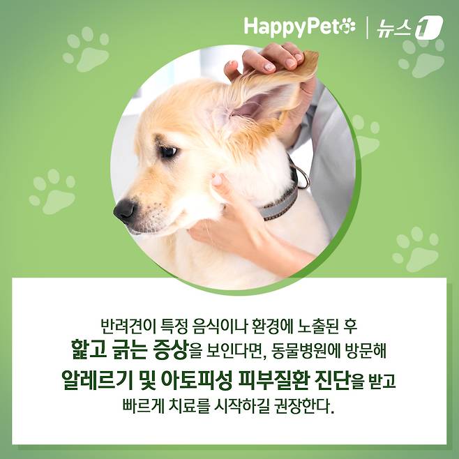 ⓒ News1 김초희 디자이너