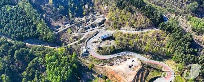 강원 태백 매봉산 ‘천상의숲’. (강원도 제공, 재판매 및 DB금지)