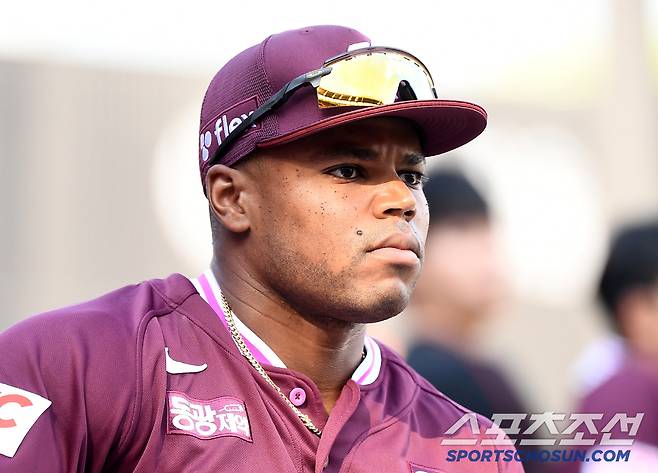 22일 대전 한화생명볼파크에서 열린 키움-한화전. 키움 스톤이 그라운드를 응시하고 있다. 대전=정재근 기자 cjg@sportschosun.com/2025.6.22/