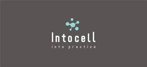 인투셀 CI.