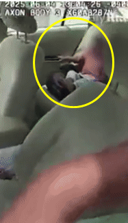 ⓒ데일리메일 갈무리