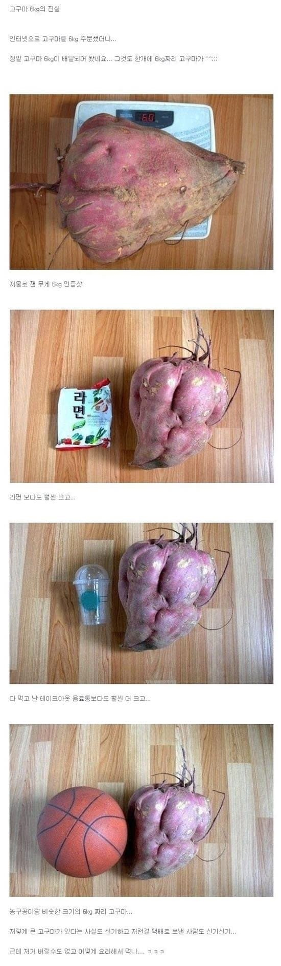image.png 인터넷에서 고구마 6kg 주문한 사람.jpg