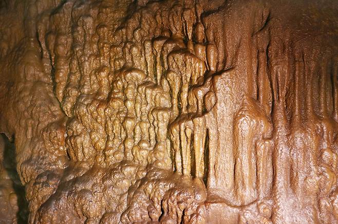 국내 지질 전문가도 ‘최고’라고 칭송하는 백룡동굴에는 희한한 모양의 동굴 생성물이 많다. 박미향 기자