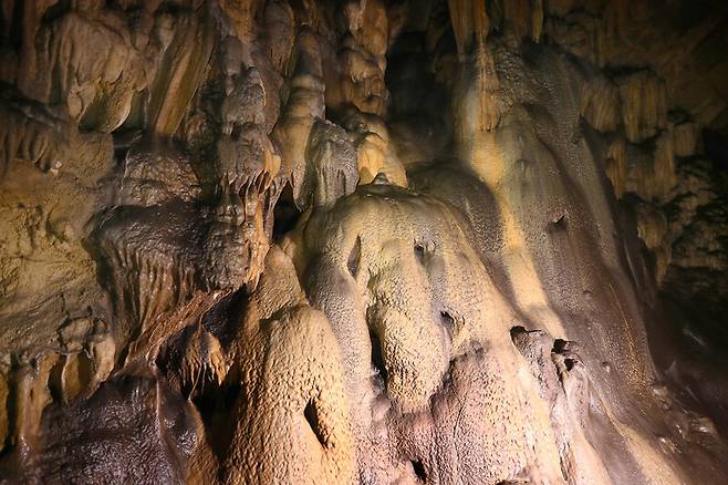 국내 지질 전문가도 ‘최고’라고 칭송하는 백룡동굴에는 희한한 모양의 동굴 생성물이 많다. 박미향 기자