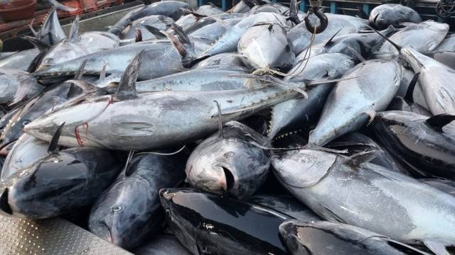 사진 출처 : 연합뉴스