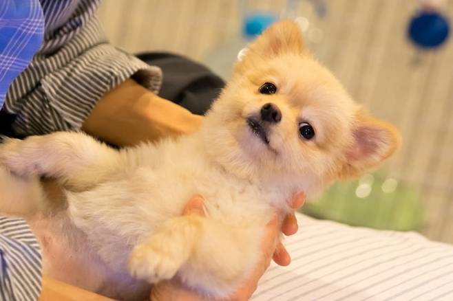 /사진=게티이미지뱅크