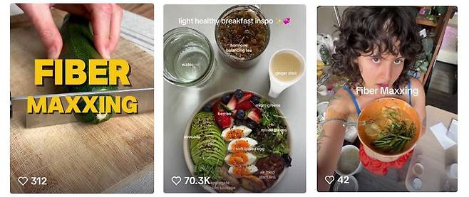 사진=틱톡 파이버맥싱 게시글 갈무리