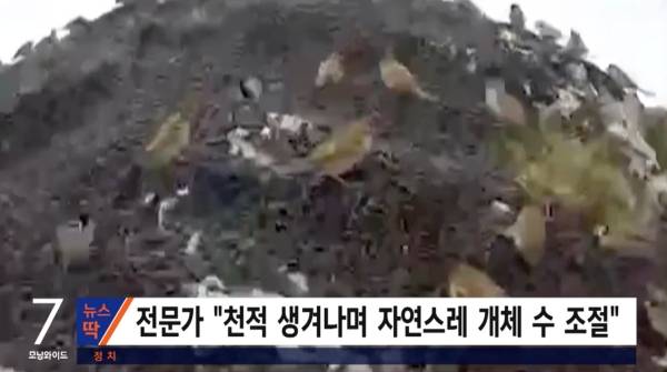 ▲SBS '모닝와이드' 갈무리