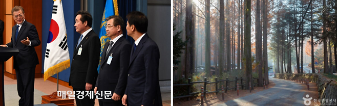 문재인 전 대통령  /사진=매경 DB, 장태산 자연휴양림 / 사진=한국관광공사