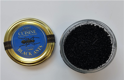 미국산 개미. [사진제공=식품의약품안전처]