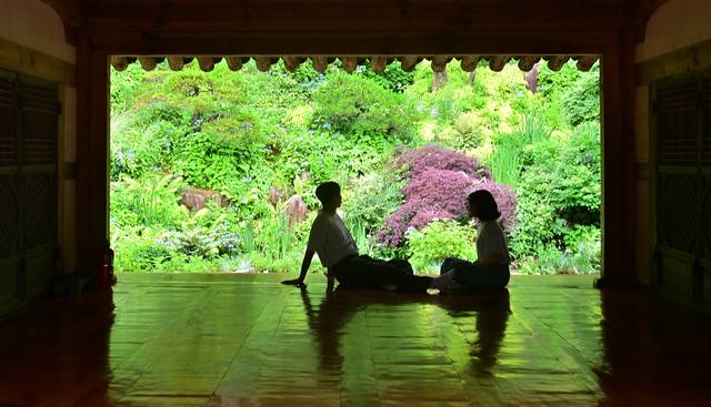 아침고요수목원 한국정원의 한옥 정한재(靜閑齋) 마루가 초록의 자연을 표구한 액자처럼 보인다.