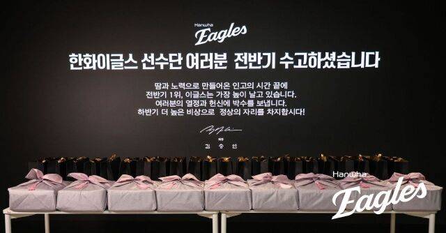 한화 김승연 회장의 선물/한화 이글스