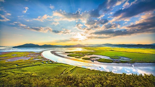 용산 전망대서 바라본 순천만습지 [순천시 제공]