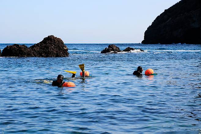 한국소비자원은 제주 여행객을 대상으로 소비자 피해예방주의보를 발령하고 렌터카, 숙박 예약 시 취소 위약금 등을 꼼꼼히 확인할 필요가 있다고 당부했다.&nbsp;클립아트코리아 제공
