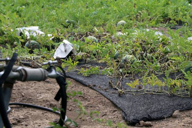 사진은 기사 내용과 무관함. 뉴스1