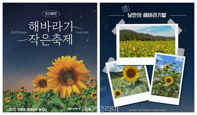 안동포 세대공감 페스타