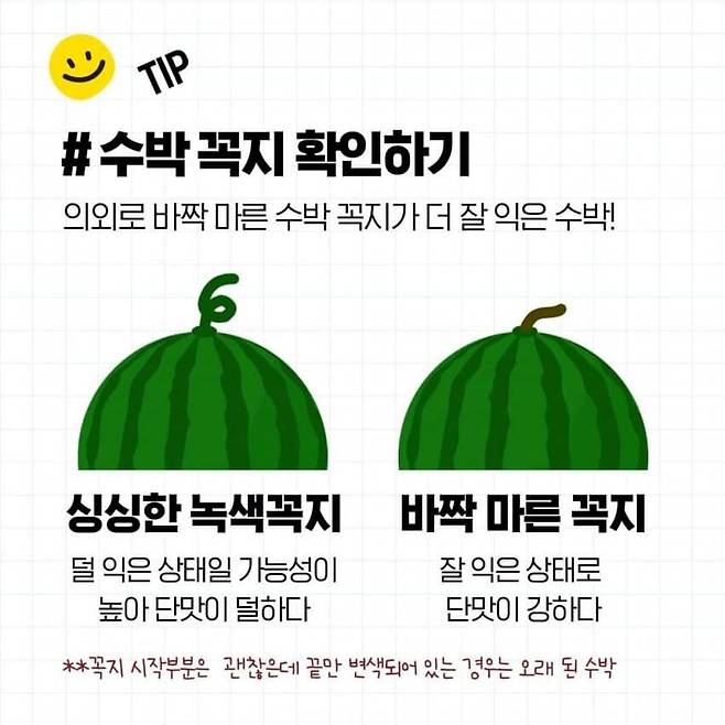 1000020011.jpg 꿀수박 고르는 방법과 보관방법
