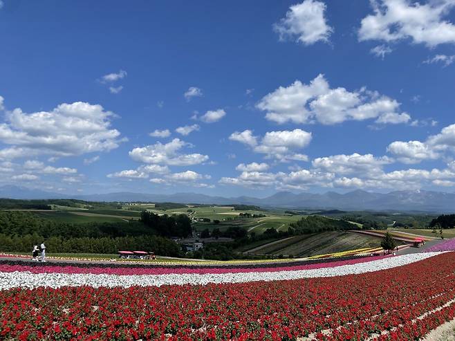 IMG_6190.jpeg 7월의 삿포로 풍경