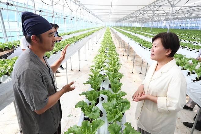 송미령 농림축산식품부 장관이 10일 상추 농가를 방문해 관계자로부터 설명을 듣고 있다. (제공=농림축산식품부)