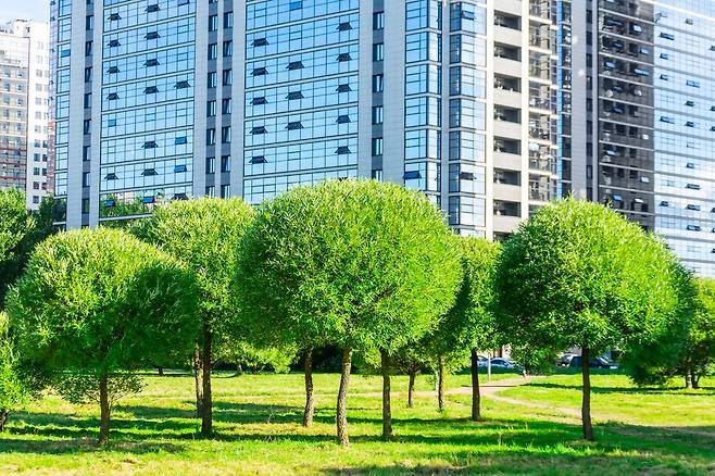 게티이미지뱅크