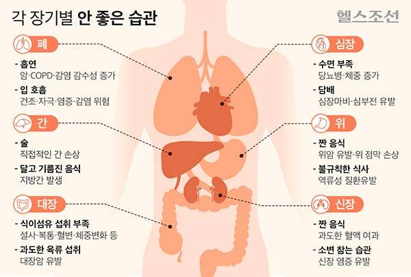 심장, 위, 신장, 간, 폐, 대장 등 주요 장기에 심각한 손상을 줄 수 있​는 일상 속 습관을 개선해야 한다./그래픽=김민선