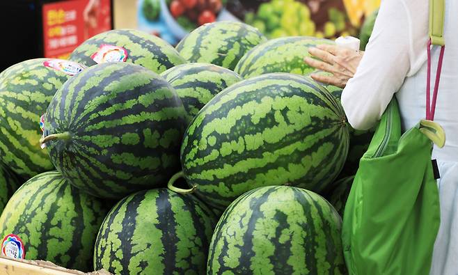 [사진 = 연합뉴스]