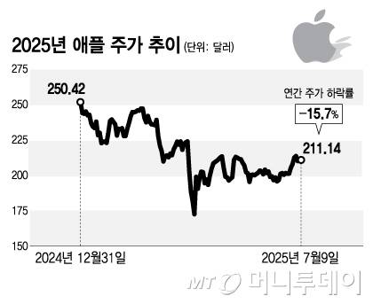 2025년 애플 주가 추이/그래픽=김지영
