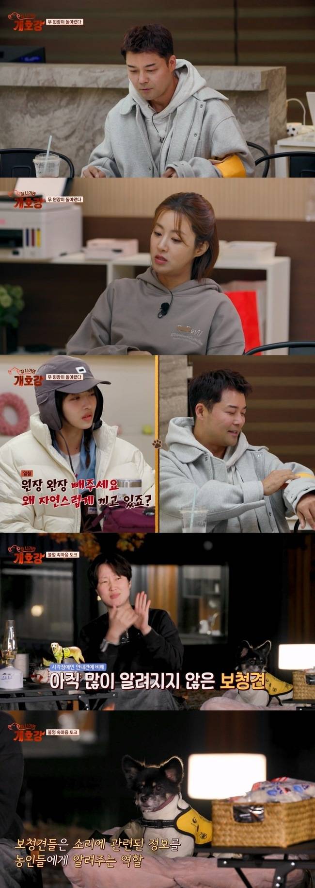 JTBC ‘집 나가면 개호강’ 제공